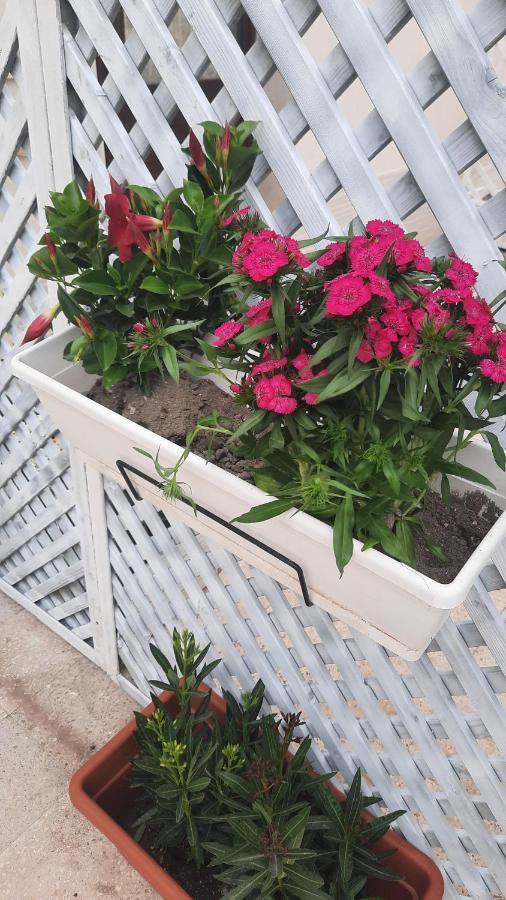 Casacecilia Relax Hotel Syracuse Ngoại thất bức ảnh
